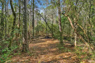 2248 Wallace Lake Rd, Pace, FL 32571 - Photo 48