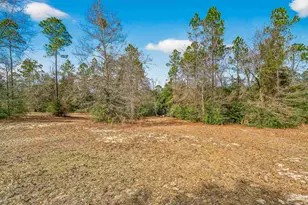 2248 Wallace Lake Rd, Pace, FL 32571 - Photo 44