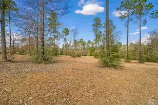 2248 Wallace Lake Rd, Pace, FL 32571 - Photo 42