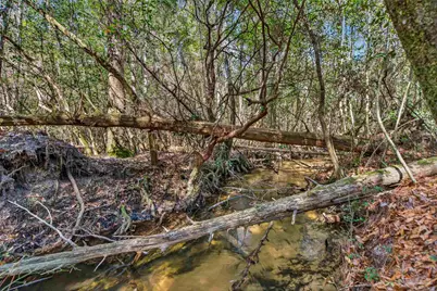 2248 Wallace Lake Rd, Pace, FL 32571 - Photo 50