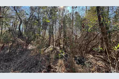Lot 22 Creek Bluff Dr, Pace, FL 32571 - Photo 8