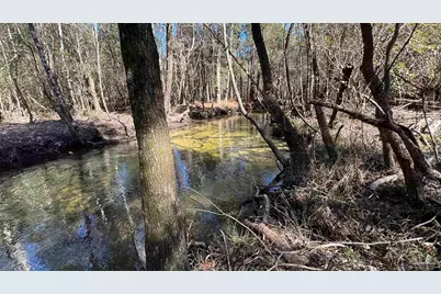 Lot 22 Creek Bluff Dr, Pace, FL 32571 - Photo 2
