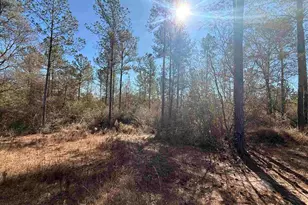 Lot 3 Creek Bluff Dr, Pace, FL 32571 - Photo 1