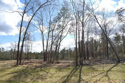 Lot 8 Creek Bluff Dr, Pace, FL 32571 - Photo 2