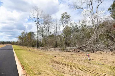 Lot 21 Creek Bluff Dr, Pace, FL 32571 - Photo 4