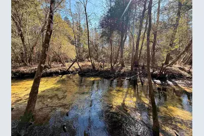 Lot 20 Creek Bluff Dr, Pace, FL 32571 - Photo 4