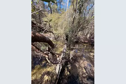 Lot 20 Creek Bluff Dr, Pace, FL 32571 - Photo 6
