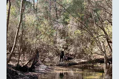 Lot 9 Brook Crossing St, Pace, FL 32571 - Photo 6