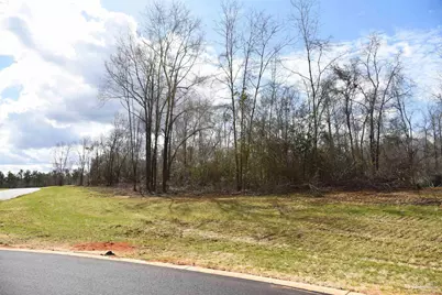 Lot 19 Creek Bluff Dr, Pace, FL 32571 - Photo 6