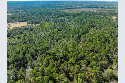Lot 19 Creek Bluff Dr, Pace, FL 32571 - Photo 20