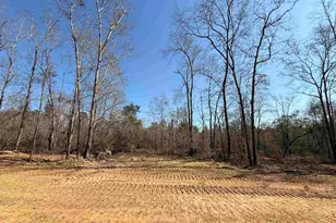 Lot 12 Brook Crossing St, Pace, FL 32571 - Photo 1