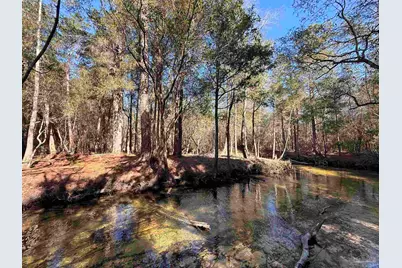 Lot 12 Brook Crossing St, Pace, FL 32571 - Photo 2