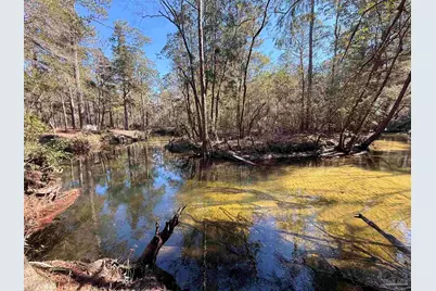 Lot 18 Brook Crossing St, Pace, FL 32571 - Photo 4