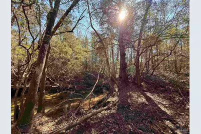 Lot 18 Brook Crossing St, Pace, FL 32571 - Photo 12