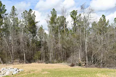 Lot 17 Brook Crossing St, Pace, FL 32571 - Photo 6