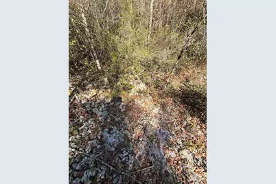 Lot 17 Brook Crossing St, Pace, FL 32571 - Photo 2