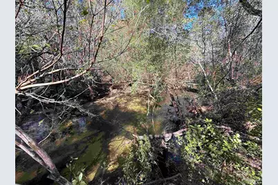 Lot 17 Brook Crossing St, Pace, FL 32571 - Photo 1