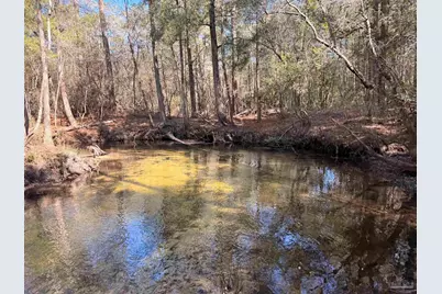 Lot 13 Brook Crossing St, Pace, FL 32571 - Photo 10