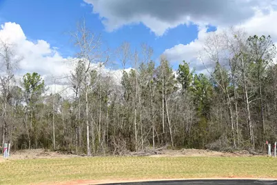 Lot 16 Brook Crossing St, Pace, FL 32571 - Photo 4
