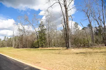 Lot 14 Brook Crossing St, Pace, FL 32571 - Photo 4