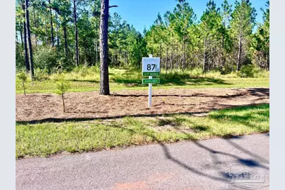 Lot 87 Pine Preserve Ln, Pace, FL 32571 - Photo 8