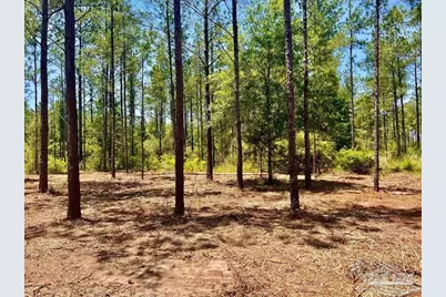 Lot 87 Pine Preserve Ln, Pace, FL 32571 - Photo 10