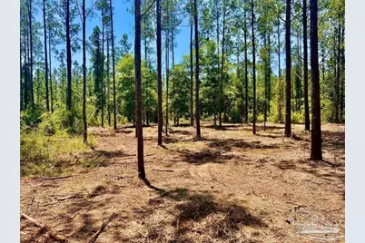 Lot 87 Pine Preserve Ln, Pace, FL 32571 - Photo 10