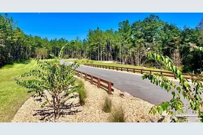Lot 87 Pine Preserve Ln, Pace, FL 32571 - Photo 4