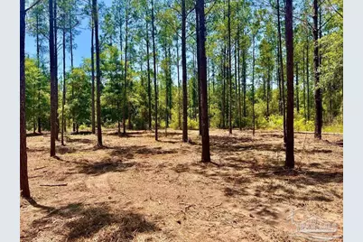 Lot 87 Pine Preserve Ln, Pace, FL 32571 - Photo 12