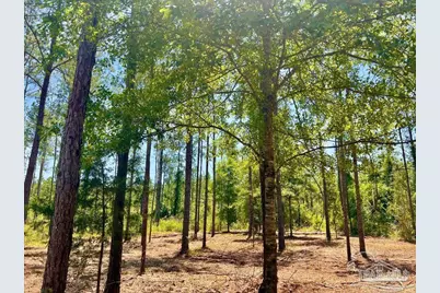Lot 87 Pine Preserve Ln, Pace, FL 32571 - Photo 6