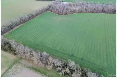 0000 Rocky Rd, Jay, FL 32565 - Photo 1