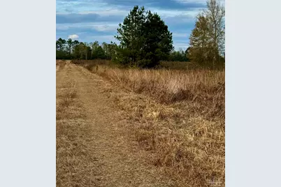 0 Hardaway Hwy, Gretna, FL 32332 - Photo 4