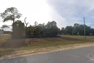 71 Acres Avalon Blvd, Milton, FL 32583 - Photo 4