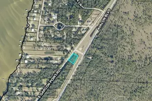 71 Acres Avalon Blvd, Milton, FL 32583 - Photo 2