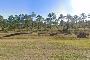 10 95 Acres Avalon Blvd, Milton, FL 32583 - Photo 1