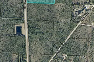 10 95 Acres Avalon Blvd, Milton, FL 32583 - Photo 2