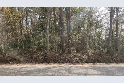 Pearson Rd, Milton, FL 32570 - Photo 1