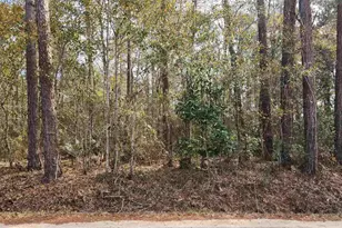 Pearson Rd, Milton, FL 32570 - Photo 1
