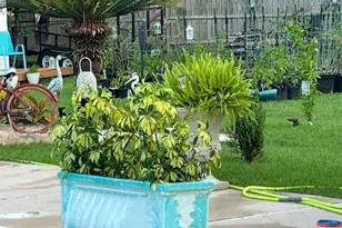 11511 Thousand Oaks Ct, Pensacola, FL 32514 - Photo 44