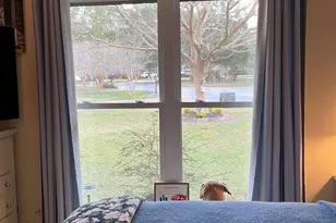 11511 Thousand Oaks Ct, Pensacola, FL 32514 - Photo 24