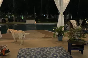 11511 Thousand Oaks Ct, Pensacola, FL 32514 - Photo 50