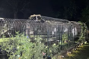 11511 Thousand Oaks Ct, Pensacola, FL 32514 - Photo 56