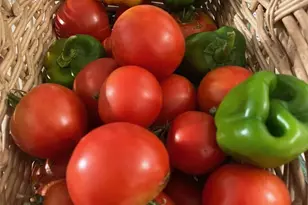 11511 Thousand Oaks Ct, Pensacola, FL 32514 - Photo 62