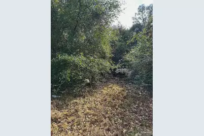 450 N Century Blvd, McDavid, FL 32568 - Photo 20