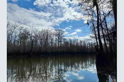 450 N Century Blvd, McDavid, FL 32568 - Photo 6