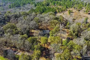 10841 Luker Wy, Jay, FL 32565 - Photo 42