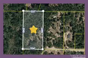 Ries Rd, Laurel Hill, FL 32567 - Photo 1