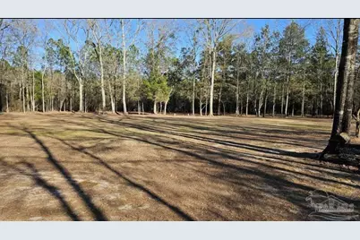 Salter Rd, Pace, FL 32571 - Photo 2