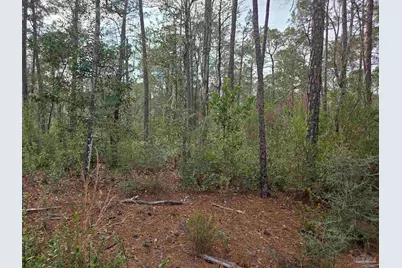 3500 Barrineau Park Rd, Cantonment, FL 32533 - Photo 2