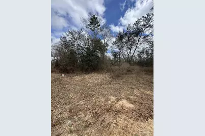 7486 Wild Horse Way, Milton, FL 32570 - Photo 4